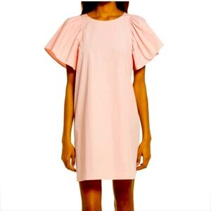 NWT Madewell Poplin Flutter Sleeve Mini Dress
Size Small